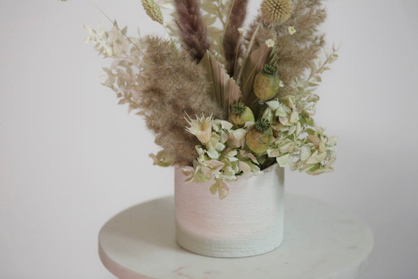 Minidried.f22.2_600x.jpg?v=