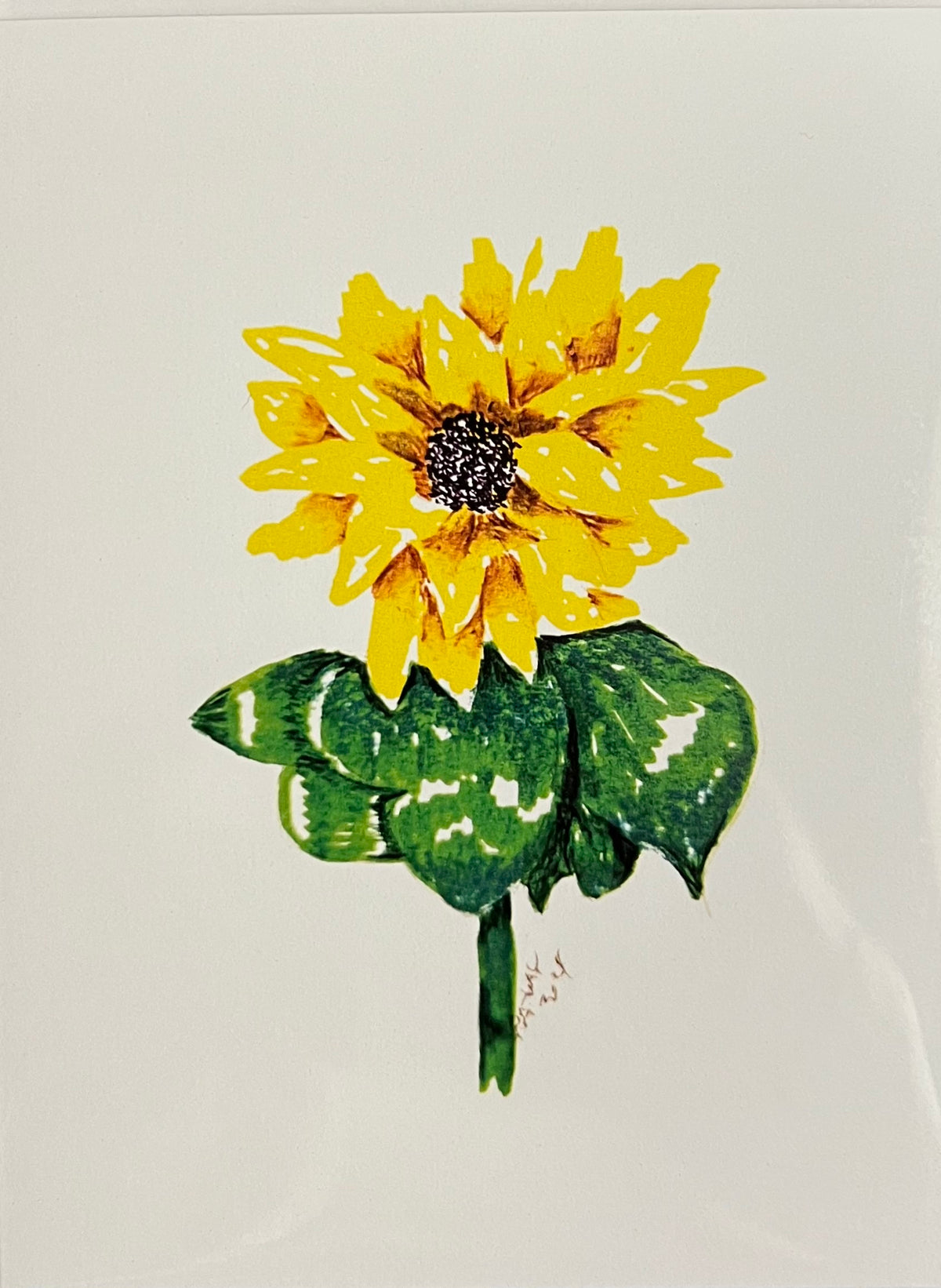 Local Hand Drawn Cards