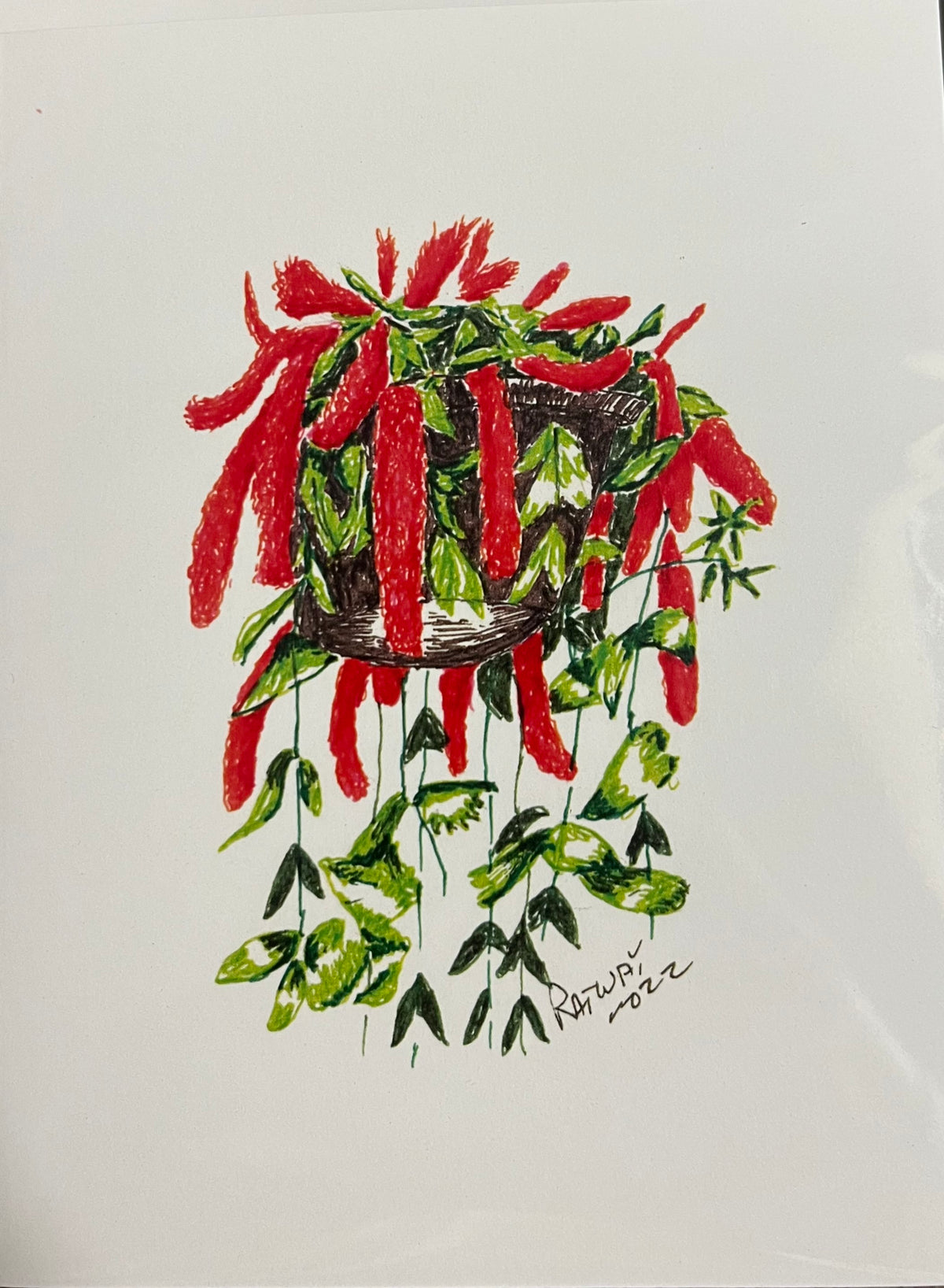Local Hand Drawn Cards